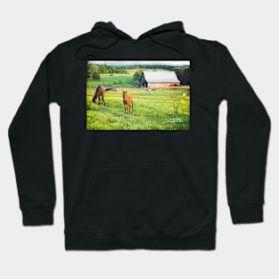 Kentucky Evening Hoodie